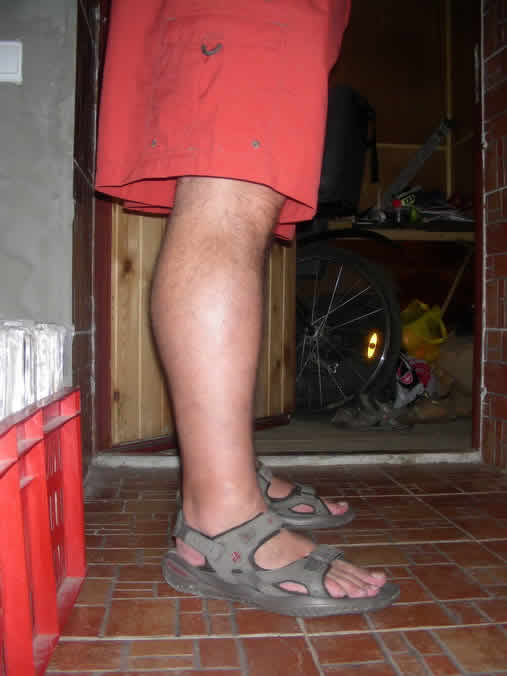 :  .jpg
: 589
:  23,6 