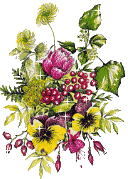 :  6c9efc95c4b9a68ab1d38d82ecbd9089.gif
: 43
:  30,5 