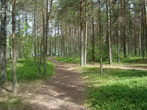 :  recovered193.jpg
: 108
:  60,0 