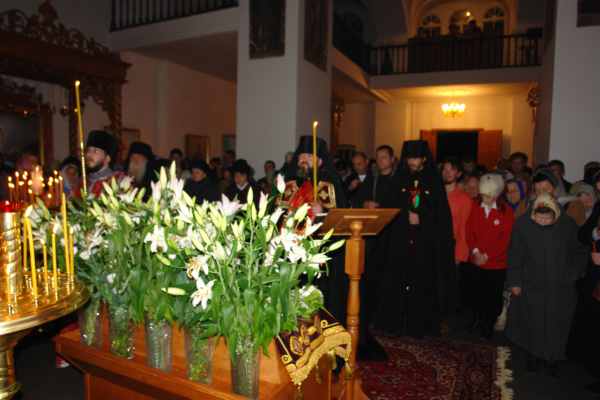 :  DSC07981.JPG
: 308
:  29,2 