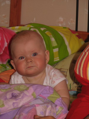 :  IMG_8011_resize.jpg
: 69
:  37,0 