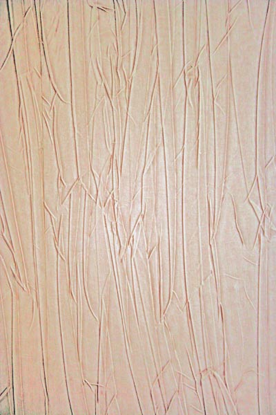 :  2.jpg
: 4998
:  41,2 