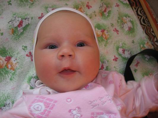 :  07.jpg
: 70
:  38,4 