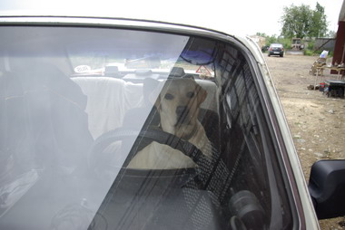 :  _G102889_resize.JPG
: 64
:  34,6 