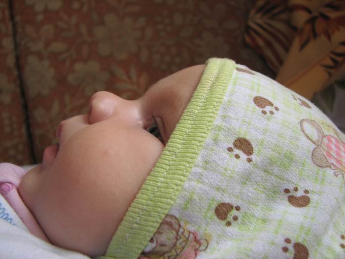 :  111.jpg
: 67
:  49,7 