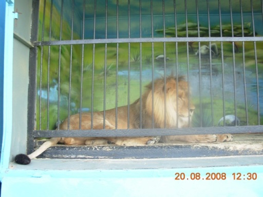 :   003.jpg
: 106
:  56,6 