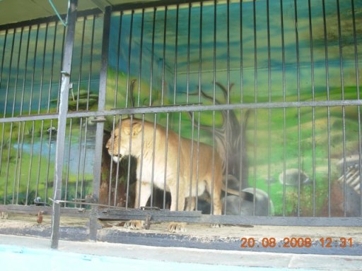 :   004.jpg
: 107
:  49,0 