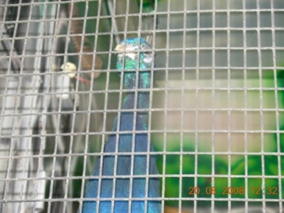 :   008.jpg
: 108
:  46,5 