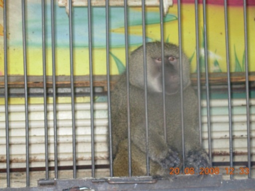 :   011.jpg
: 107
:  61,4 