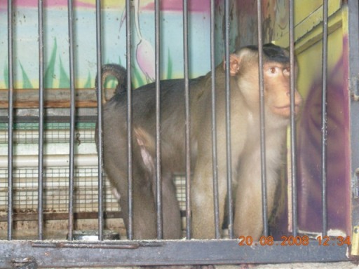 :   012.jpg
: 107
:  56,6 