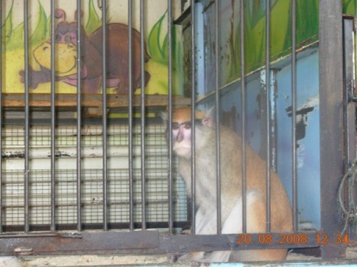 :   014.jpg
: 107
:  51,8 