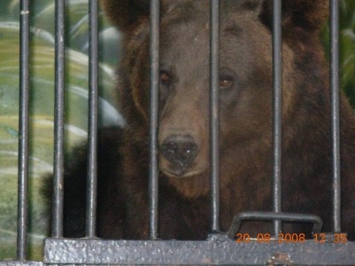 :   015.jpg
: 104
:  50,5 