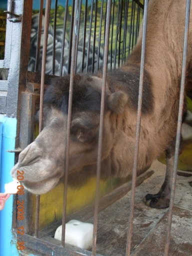 :   016.jpg
: 105
:  50,5 