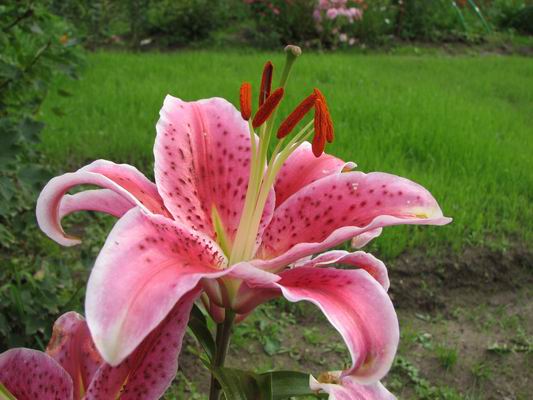 :  003.jpg
: 77
:  49,3 