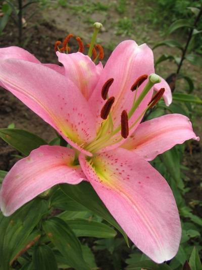 :  005.jpg
: 69
:  42,3 