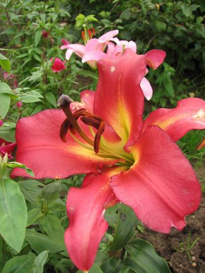 :  006.jpg
: 71
:  49,8 