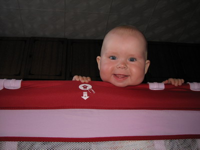 :  IMG_8346_resize.jpg
: 54
:  32,4 