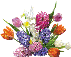 :  8c7e4eb1dbea20a60609406ff57fcd18.gif
: 72
:  17,8 