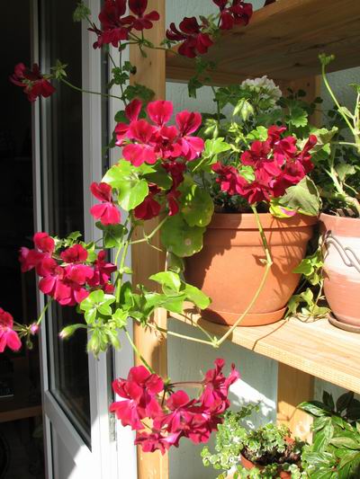 :  1.jpg
: 48
:  58,2 