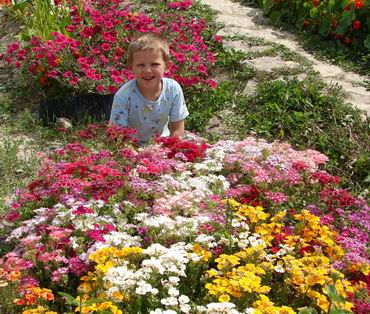 :  3.jpg
: 47
:  60,2 