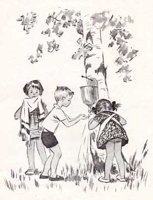 :  File0035.jpg
: 83
:  45,0 