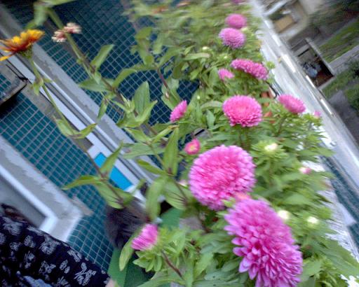 :  DSC00162.JPG
: 273
:  53,4 