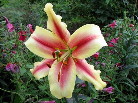 :  21.jpg
: 53
:  54,9 