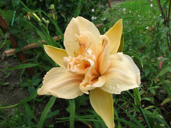 :  23.jpg
: 56
:  54,2 