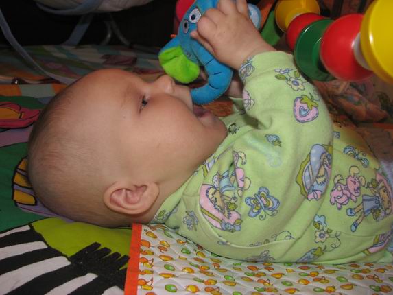 :  121.jpg
: 79
:  48,8 