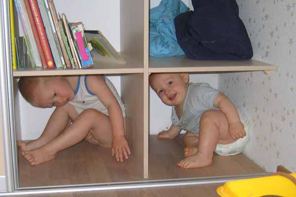 :  c2.jpg
: 50
:  54,1 