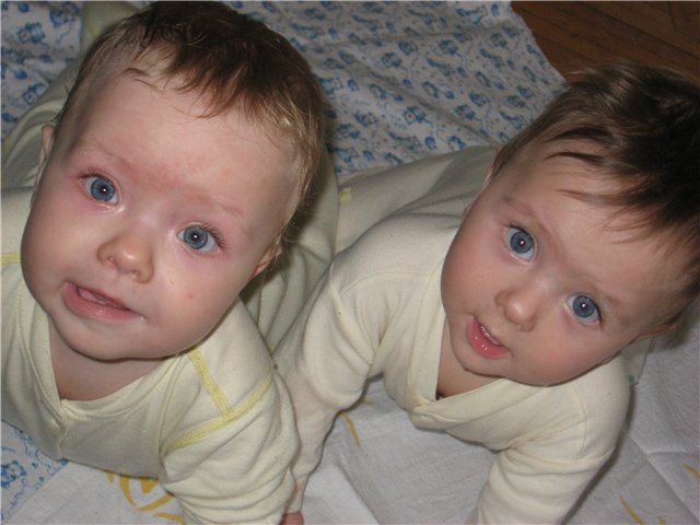 :  41a17e23011d.jpg
: 51
:  50,1 