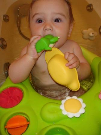 :  DSC00477.jpg
: 48
:  29,5 