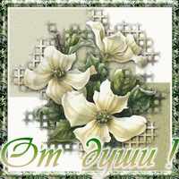 :  2.GIF
: 49
:  33,7 