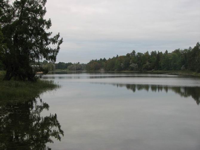 :  14.jpg
: 74
:  45,9 