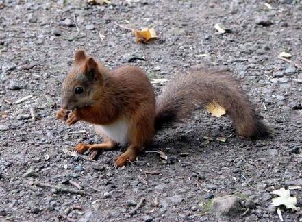 :  13.jpg
: 75
:  61,3 