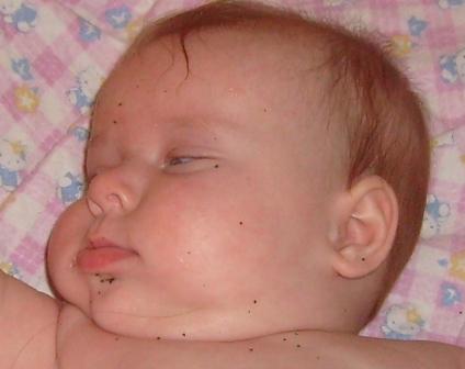 :  S7301531.JPG
: 14
:  45,0 