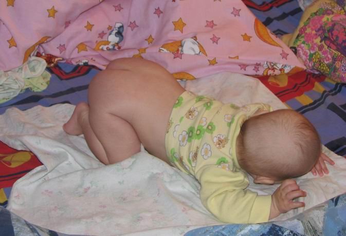 :  1.jpg
: 69
:  55,2 