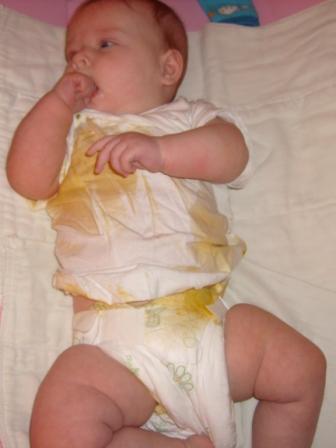 :  .JPG
: 14
:  45,5 