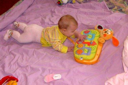 :  .JPG
: 16
:  52,7 