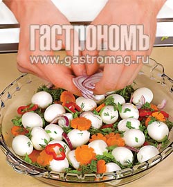 :  dbimageCA2J6B2W.jpg
: 45
:  21,5 