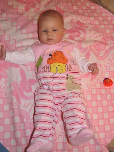 :  =0.jpg
: 81
:  42,5 