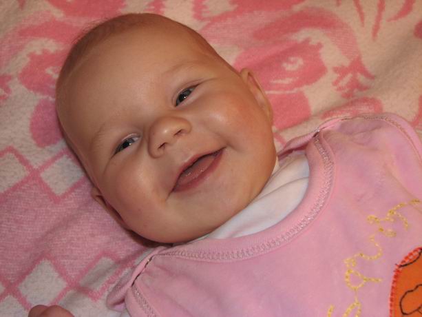 :  =1.jpg
: 79
:  37,7 