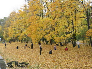 :  IMG_5635_resize.JPG
: 15
:  56,0 