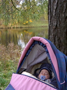 :  PICT9556_resize.jpg
: 17
:  43,0 