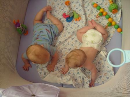 :  S7301742.JPG
: 11
:  52,6 