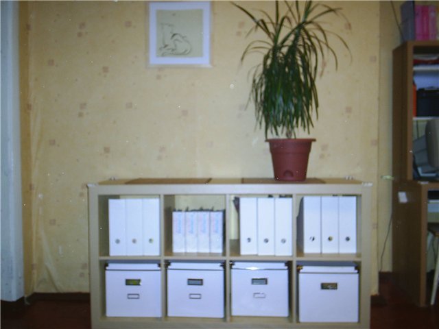 :  84cb0fe9e215.jpg
: 480
:  39,1 