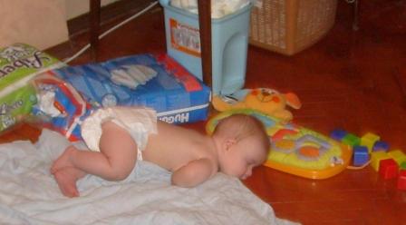 :  S7301781.JPG
: 13
:  45,6 