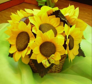 :  .jpg
: 31
:  42,9 