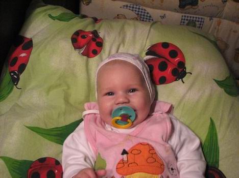 :  12.jpg
: 79
:  34,6 