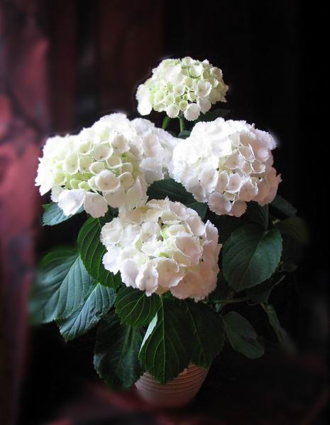 :    1.jpg
: 66
:  37,7 